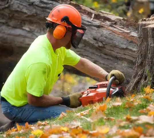 tree services Sutherland